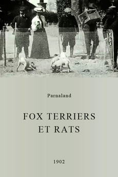 Fox Terriers and Rats (1902)