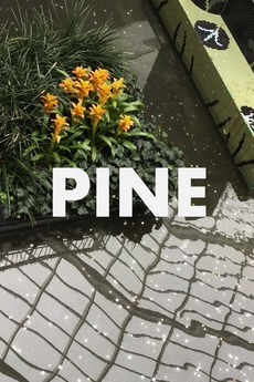 Pine (2018)