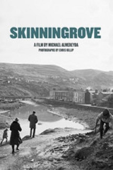 Skinningrove (2013)