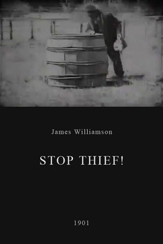 Stop Thief! (1901)
