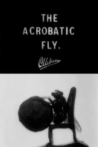 The Acrobatic Fly (1910)