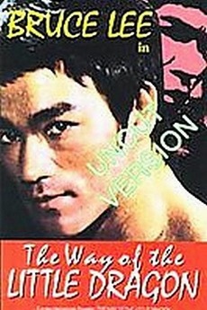The Way of the Little Dragon (1997)